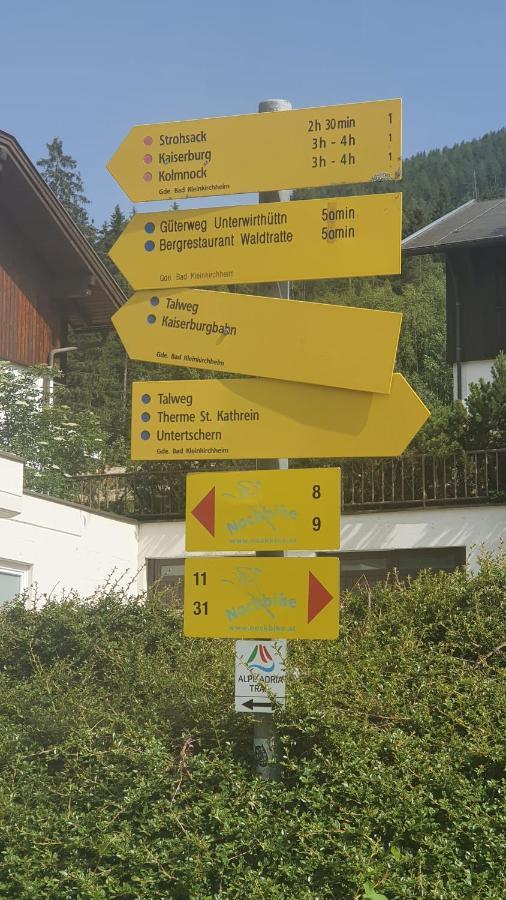 Deluxe Panorama Apartment-Maibrunn-Alm Bad Kleinkirchheim Zewnętrze zdjęcie